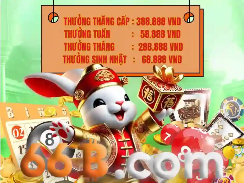 Giới thiệu về 66B