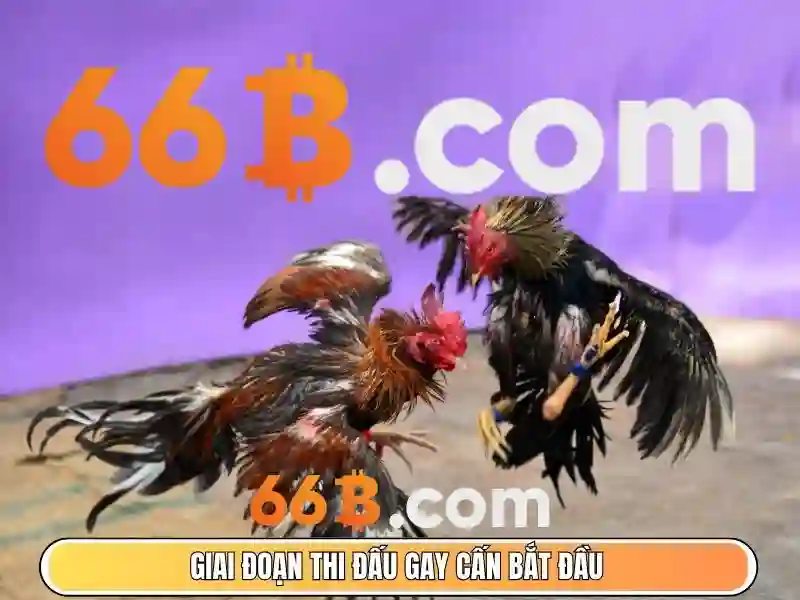 Khám phá 66B: Mô hình ngôn ngữ lớn với 66 tỷ tham số