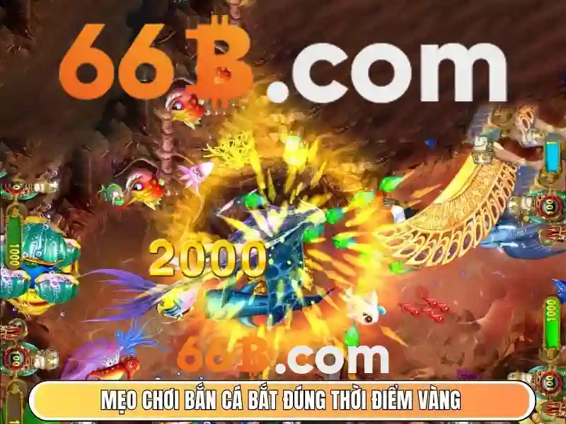 66b là gì?