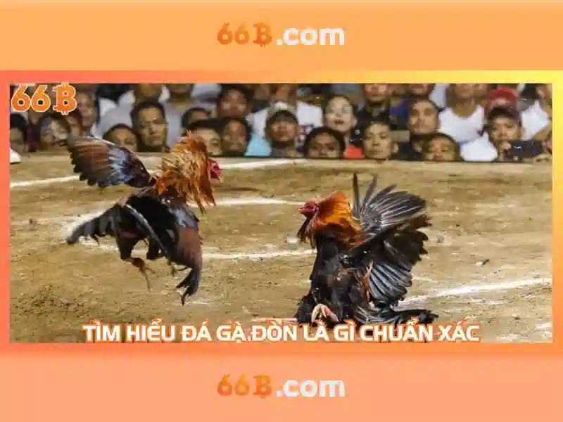 Nguồn gốc và kiến trúc của 66B