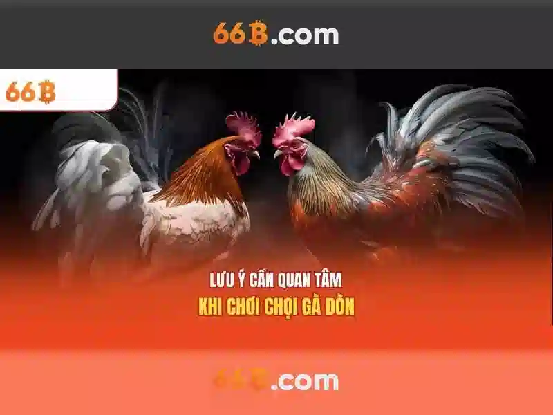 Cách hoạt động của 66b