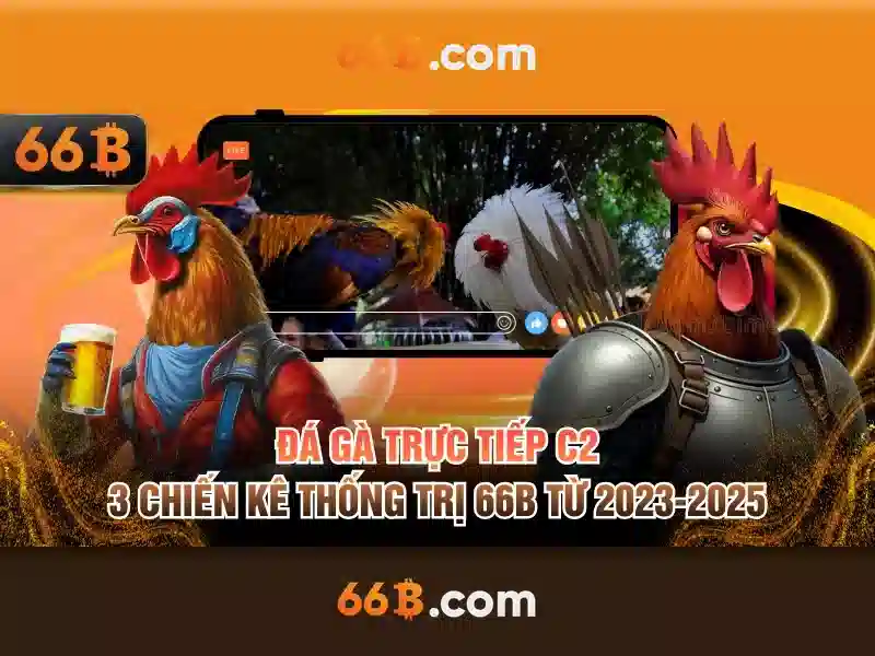 66b: khái niệm, kiến trúc và ứng dụng
