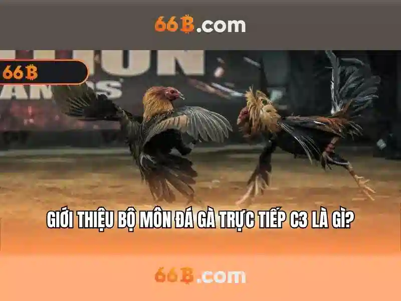 66B - Mô hình ngôn ngữ lớn 66 tỷ tham số