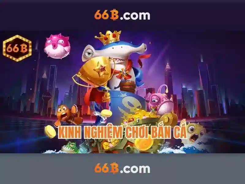 Thông số và quy mô của 66B