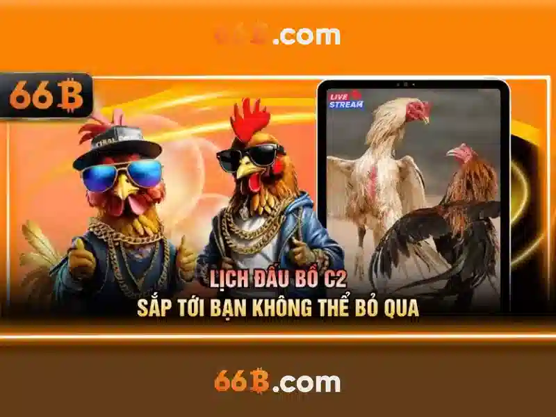 Khái niệm cơ bản của 66b