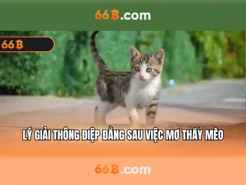 Đào tạo và dữ liệu