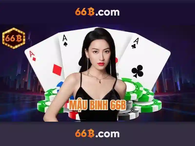 Các đặc điểm nổi bật của 66B