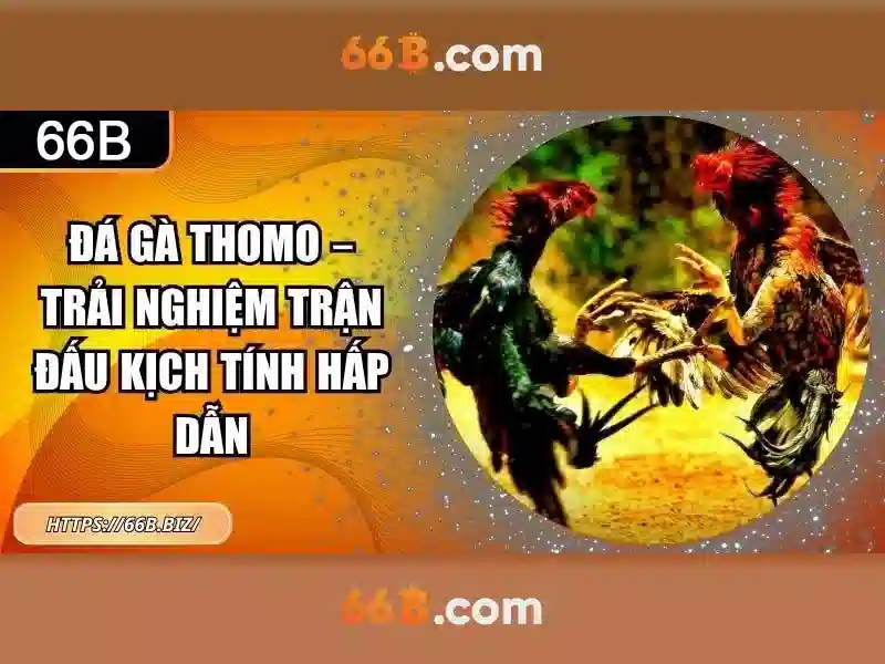 Ứng dụng hiện tại của 66b trong công nghệ và đời sống