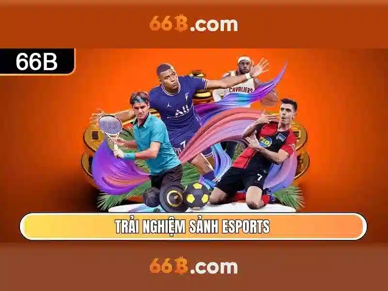 Trải nghiệm người dùng và phản hồi cộng đồng