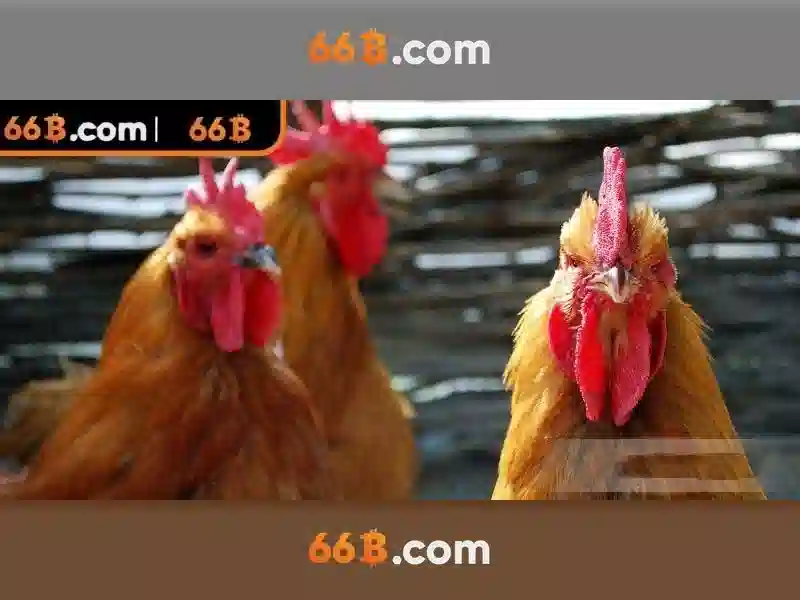 Choosing high RTP games