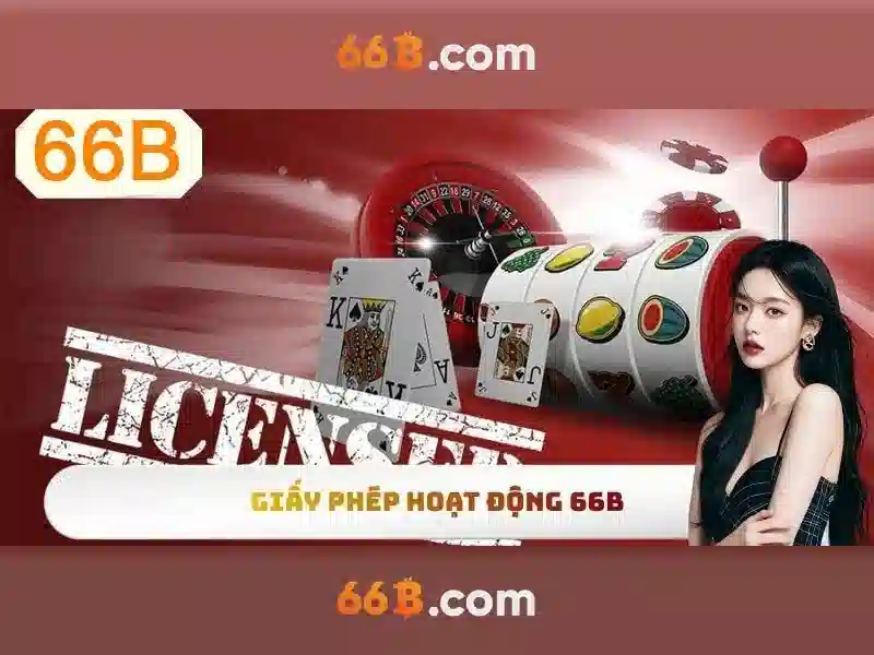 66b là gì