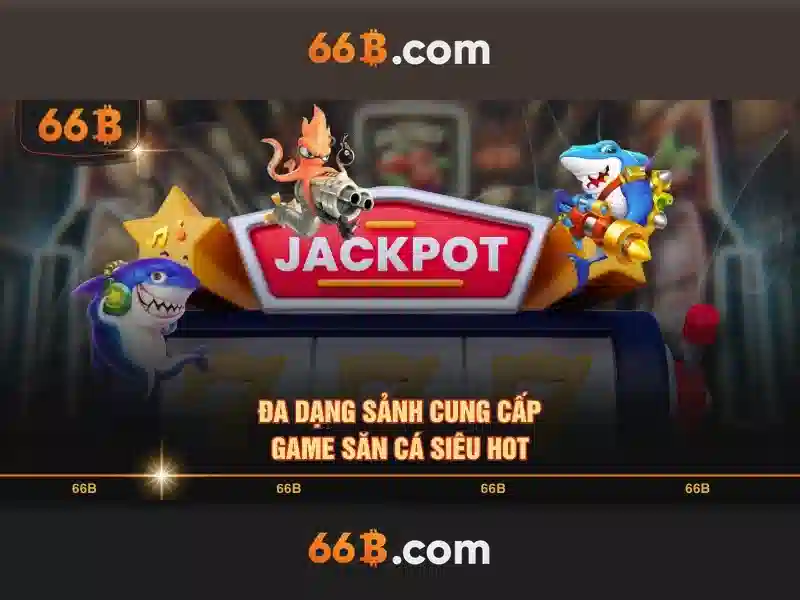66B là gì?