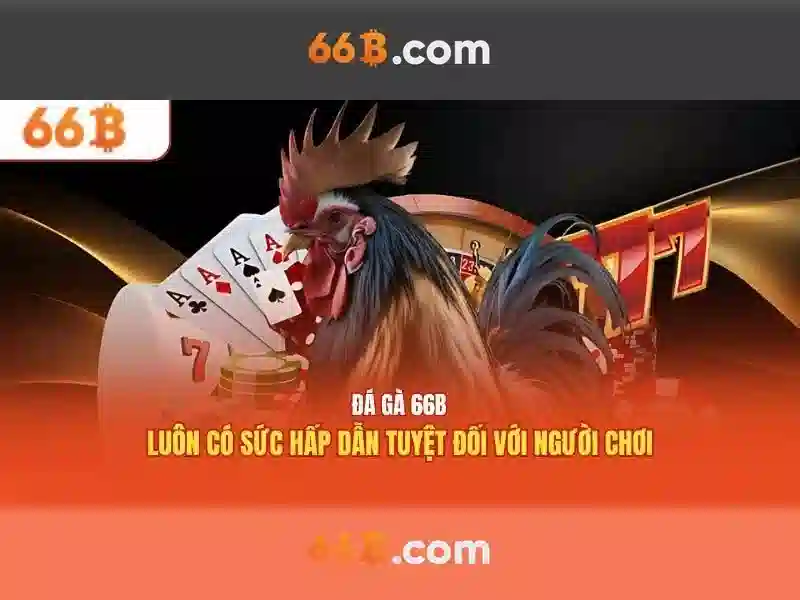 Khả năng và giới hạn của 66b
