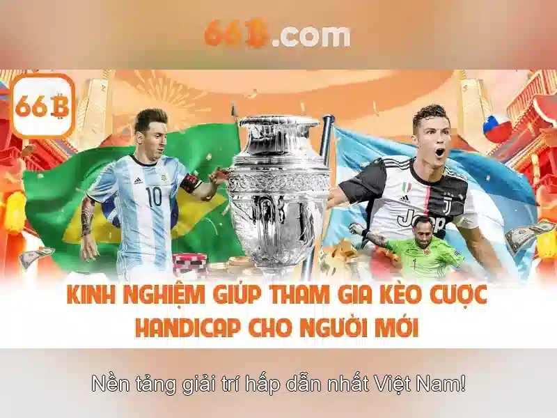 Giới thiệu về 66B