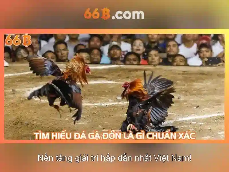 66B: một mô hình ngôn ngữ lớn và vai trò của nó