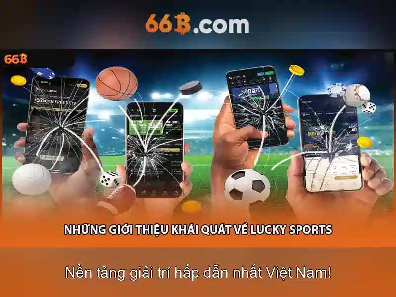 Kiến thức cơ bản về 66B