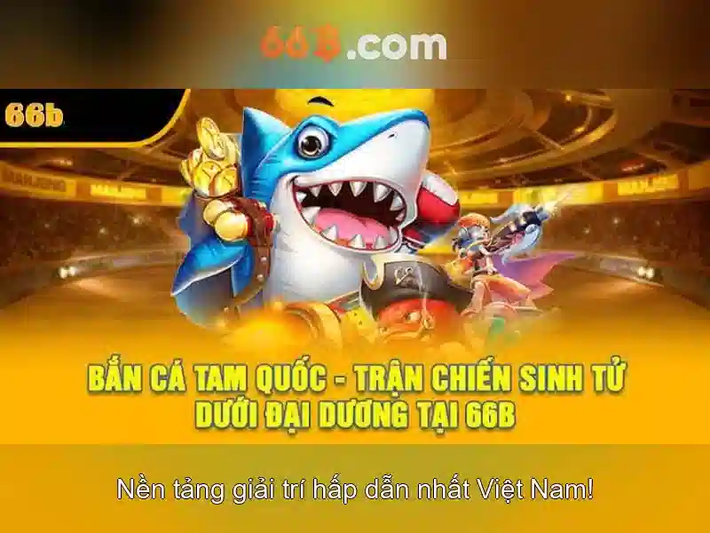 66B: Khái niệm và tiềm năng