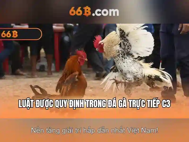 66b: một mô hình ngôn ngữ lớn