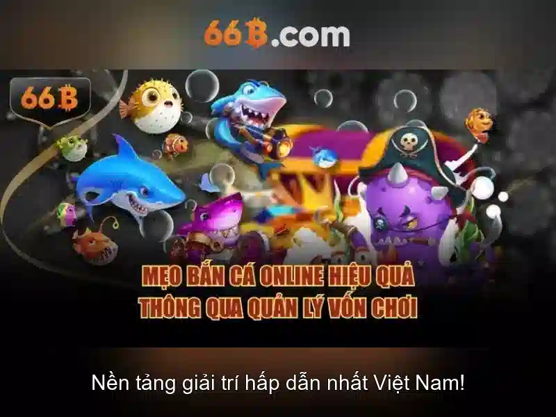 Kiến trúc và quy mô