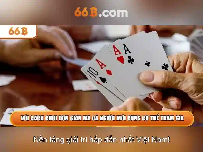 66b: khái niệm, cấu trúc và ứng dụng