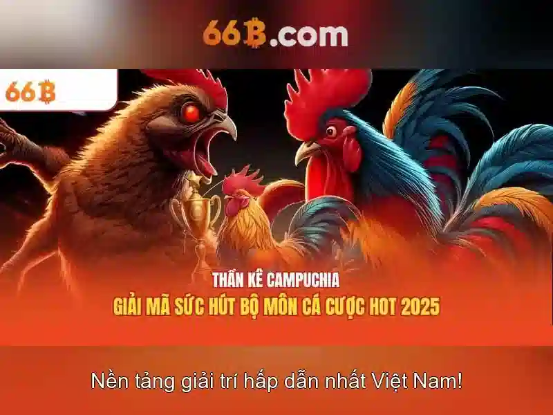 Giới thiệu về 66B