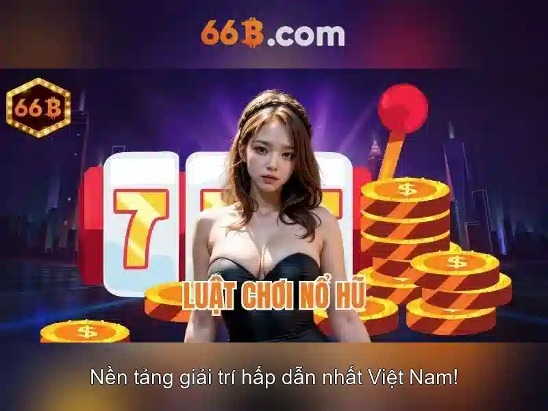 66B: một cái nhìn tổng quan