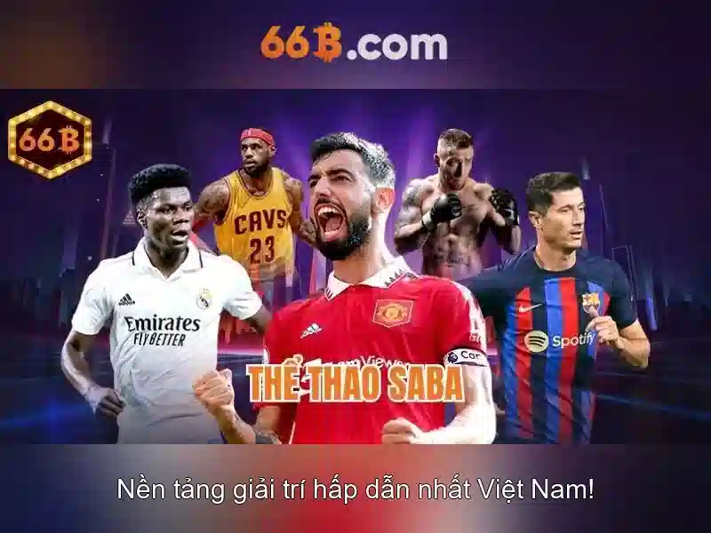 66B là gì?