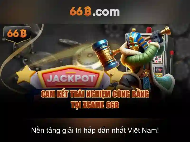 66B là gì và tại sao nó quan trọng