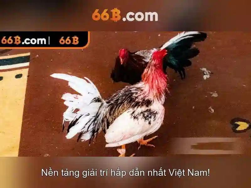 Kích thước tham số và ý nghĩa