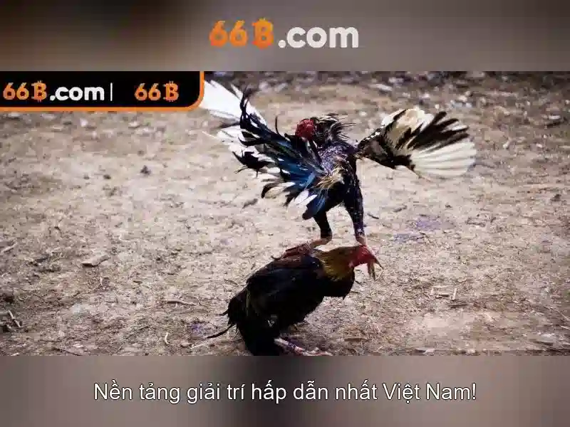 Kiến trúc và dữ liệu huấn luyện
