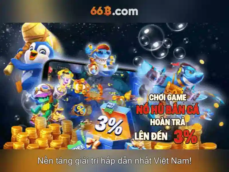 66b là gì và tại sao nó quan trọng trong nhiều ngữ cảnh