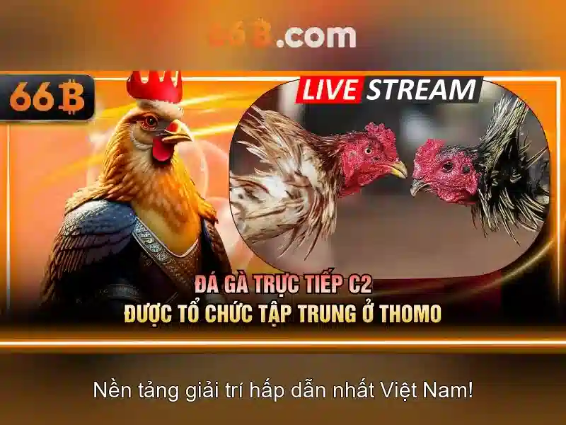 66B: Mô hình ngôn ngữ lớn với quy mô 66 tỷ tham số