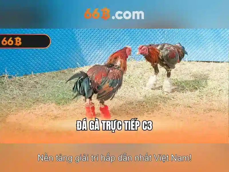 Tương lai của 66b
