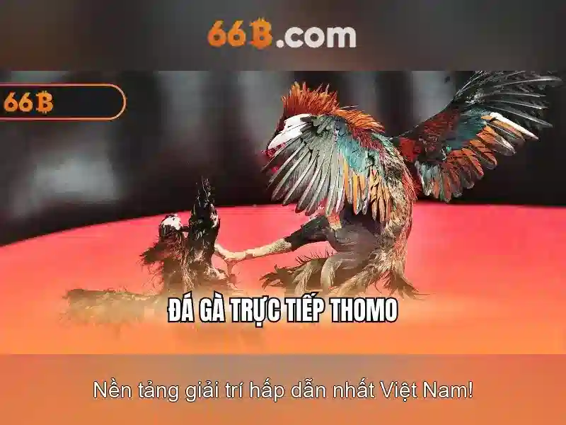 Khái niệm 66b trong công nghệ thông tin