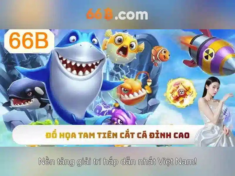 66B là gì và tại sao nó quan trọng