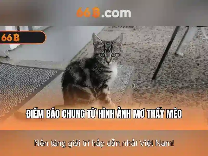 66b: Khái niệm, ứng dụng và tiềm năng trong công nghệ