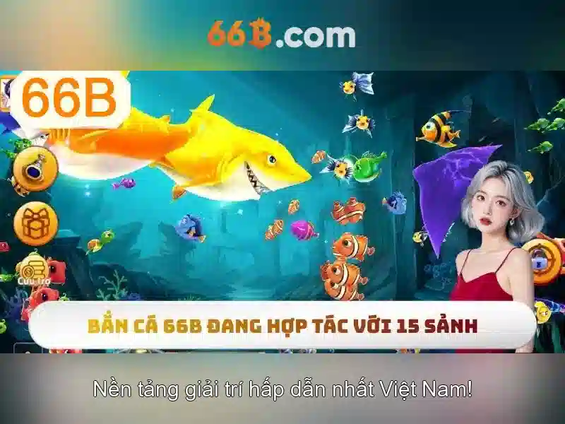 66b là gì?
