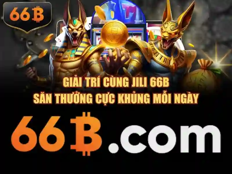 66B là gì và tại sao nó quan trọng