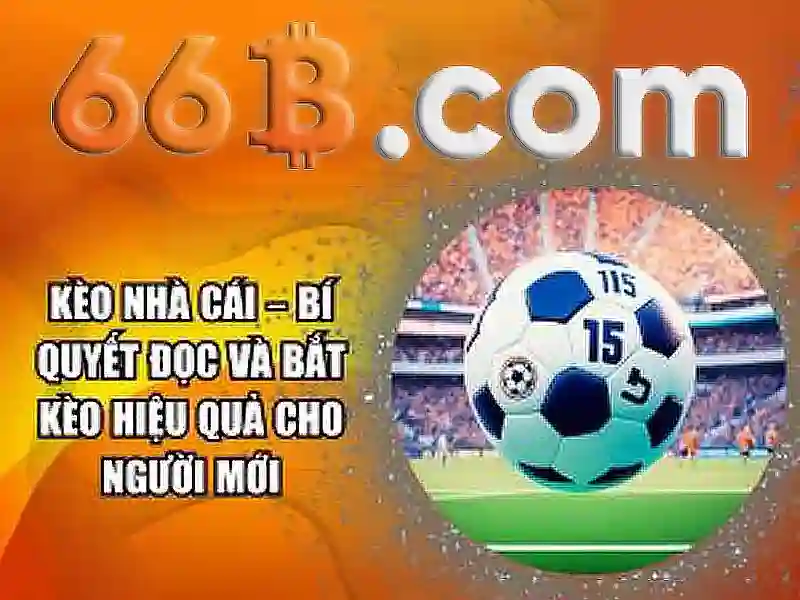 66b: một khái niệm công nghệ hiện đại