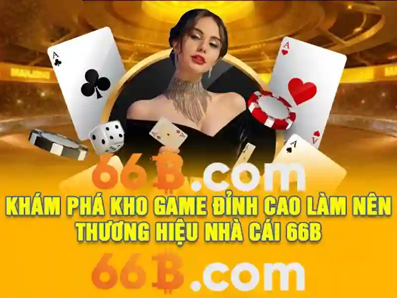 66B là gì