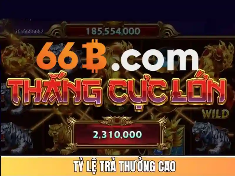 Các đặc điểm nổi bật của mô hình 66B