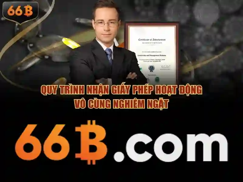Giới thiệu về 66B