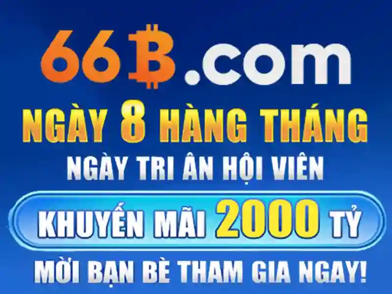66B là gì và vì sao nó quan trọng
