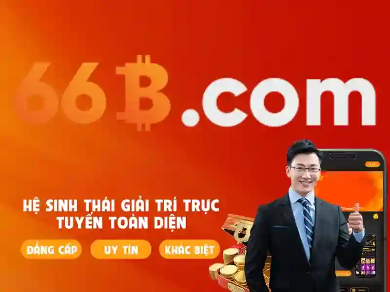 Giới thiệu về 66B