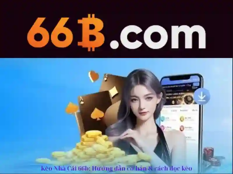 66B là gì