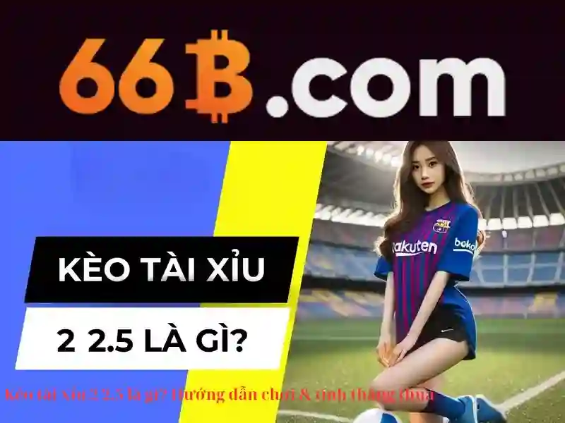 66B: Khái quát về một mô hình ngôn ngữ 66 tỷ tham số